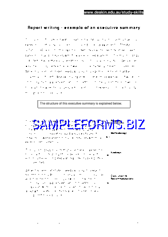 Executive Summary Example 3 pdf free